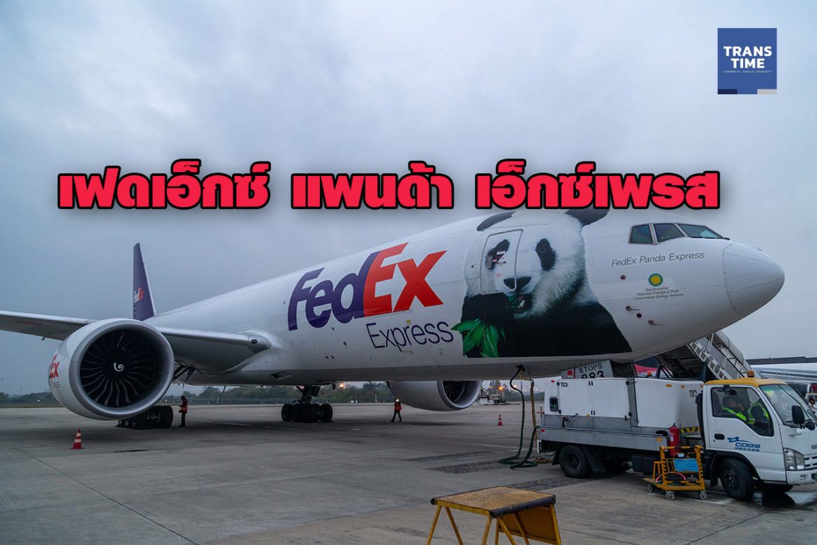 เฟดเอ็กซ์ส่ง‘เป้ยเป้ย’บินตรงกลับแดนมังกรด้วยบริการ “เฟดเอ็กซ์ แพนด้า เอ็กซ์เพรส”