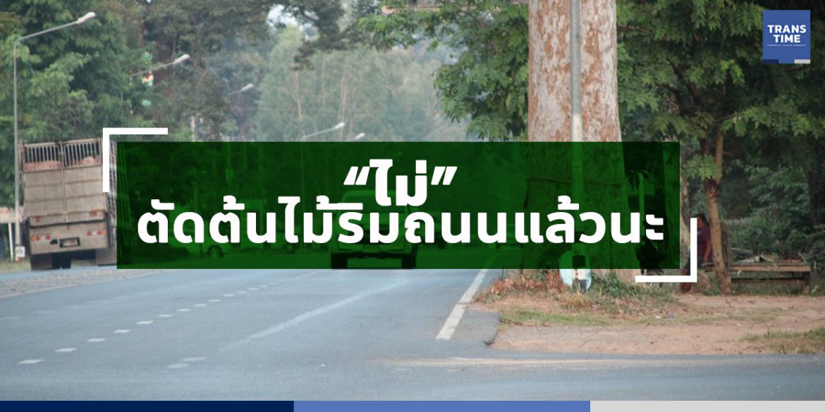 กรมทางหลวง ถอย!! โครงการตัดโค่นต้นไม้ริมถนน