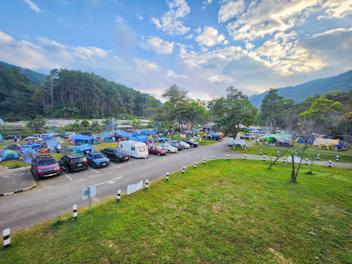 ทล.ชวนกางเต็นท์ชมดอกนางพญาเสือโคร่ง ณ หมวดทางหลวงจอมทอง จ.เชียงใหม่